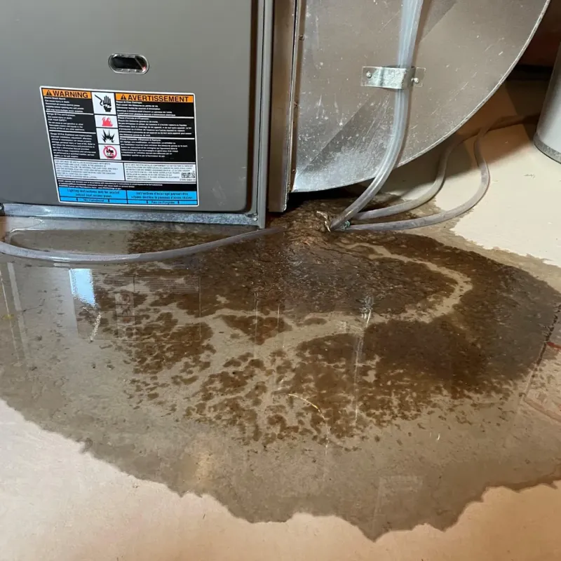 Appliance Leak Cleanup in Vergennes, VT